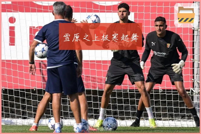 雪原之上极寒起舞